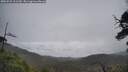 ./images/calvert/fitz-hugh-hecate/20250521/fitz-hugh-hecate20250521_111510M.jpg