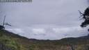 ./images/calvert/fitz-hugh-hecate/20250521/fitz-hugh-hecate20250521_113509M.jpg