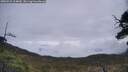 ./images/calvert/fitz-hugh-hecate/20250521/fitz-hugh-hecate20250521_114010M.jpg