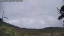 ./images/calvert/fitz-hugh-hecate/20250521/fitz-hugh-hecate20250521_114507M.jpg