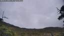 ./images/calvert/fitz-hugh-hecate/20250521/fitz-hugh-hecate20250521_115010M.jpg