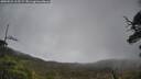 ./images/calvert/fitz-hugh-hecate/20250521/fitz-hugh-hecate20250521_115508M.jpg