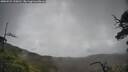 ./images/calvert/fitz-hugh-hecate/20250521/fitz-hugh-hecate20250521_120011M.jpg