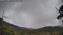 ./images/calvert/fitz-hugh-hecate/20250521/fitz-hugh-hecate20250521_121010M.jpg