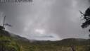 ./images/calvert/fitz-hugh-hecate/20250521/fitz-hugh-hecate20250521_121509M.jpg