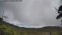 ./images/calvert/fitz-hugh-hecate/20250521/fitz-hugh-hecate20250521_122009M.jpg