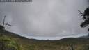 ./images/calvert/fitz-hugh-hecate/20250521/fitz-hugh-hecate20250521_122509M.jpg