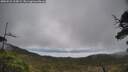 ./images/calvert/fitz-hugh-hecate/20250521/fitz-hugh-hecate20250521_123008M.jpg
