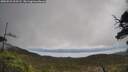 ./images/calvert/fitz-hugh-hecate/20250521/fitz-hugh-hecate20250521_123508M.jpg