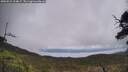 ./images/calvert/fitz-hugh-hecate/20250521/fitz-hugh-hecate20250521_124007M.jpg