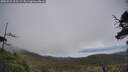 ./images/calvert/fitz-hugh-hecate/20250521/fitz-hugh-hecate20250521_125509M.jpg