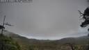 ./images/calvert/fitz-hugh-hecate/20250521/fitz-hugh-hecate20250521_130011M.jpg