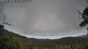 ./images/calvert/fitz-hugh-hecate/20250521/fitz-hugh-hecate20250521_130509M.jpg
