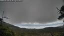 ./images/calvert/fitz-hugh-hecate/20250521/fitz-hugh-hecate20250521_131008M.jpg