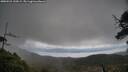 ./images/calvert/fitz-hugh-hecate/20250521/fitz-hugh-hecate20250521_132009M.jpg