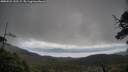 ./images/calvert/fitz-hugh-hecate/20250521/fitz-hugh-hecate20250521_132509M.jpg