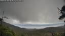 ./images/calvert/fitz-hugh-hecate/20250521/fitz-hugh-hecate20250521_133510M.jpg