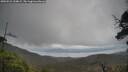 ./images/calvert/fitz-hugh-hecate/20250521/fitz-hugh-hecate20250521_134009M.jpg