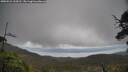 ./images/calvert/fitz-hugh-hecate/20250521/fitz-hugh-hecate20250521_134510M.jpg