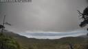./images/calvert/fitz-hugh-hecate/20250521/fitz-hugh-hecate20250521_135509M.jpg