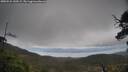 ./images/calvert/fitz-hugh-hecate/20250521/fitz-hugh-hecate20250521_140509M.jpg