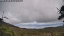 ./images/calvert/fitz-hugh-hecate/20250521/fitz-hugh-hecate20250521_143510M.jpg