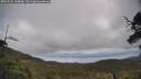 ./images/calvert/fitz-hugh-hecate/20250521/fitz-hugh-hecate20250521_144010M.jpg