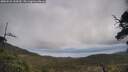 ./images/calvert/fitz-hugh-hecate/20250521/fitz-hugh-hecate20250521_144510M.jpg