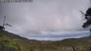./images/calvert/fitz-hugh-hecate/20250521/fitz-hugh-hecate20250521_145010M.jpg