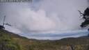 ./images/calvert/fitz-hugh-hecate/20250521/fitz-hugh-hecate20250521_145509M.jpg