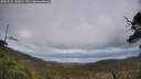 ./images/calvert/fitz-hugh-hecate/20250521/fitz-hugh-hecate20250521_150010M.jpg