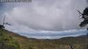 ./images/calvert/fitz-hugh-hecate/20250521/fitz-hugh-hecate20250521_150509M.jpg