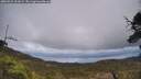 ./images/calvert/fitz-hugh-hecate/20250521/fitz-hugh-hecate20250521_151009M.jpg