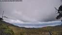 ./images/calvert/fitz-hugh-hecate/20250521/fitz-hugh-hecate20250521_151510M.jpg