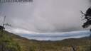 ./images/calvert/fitz-hugh-hecate/20250521/fitz-hugh-hecate20250521_152008M.jpg