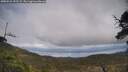 ./images/calvert/fitz-hugh-hecate/20250521/fitz-hugh-hecate20250521_152509M.jpg