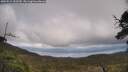 ./images/calvert/fitz-hugh-hecate/20250521/fitz-hugh-hecate20250521_153510M.jpg