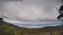 ./images/calvert/fitz-hugh-hecate/20250521/fitz-hugh-hecate20250521_154009M.jpg