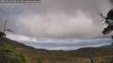 ./images/calvert/fitz-hugh-hecate/20250521/fitz-hugh-hecate20250521_154508M.jpg