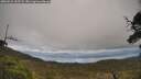 ./images/calvert/fitz-hugh-hecate/20250521/fitz-hugh-hecate20250521_155508M.jpg