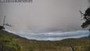 ./images/calvert/fitz-hugh-hecate/20250521/fitz-hugh-hecate20250521_160509M.jpg
