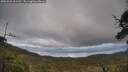 ./images/calvert/fitz-hugh-hecate/20250521/fitz-hugh-hecate20250521_161510M.jpg