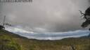 ./images/calvert/fitz-hugh-hecate/20250521/fitz-hugh-hecate20250521_162009M.jpg