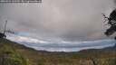 ./images/calvert/fitz-hugh-hecate/20250521/fitz-hugh-hecate20250521_162510M.jpg