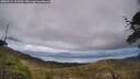 ./images/calvert/fitz-hugh-hecate/20250521/fitz-hugh-hecate20250521_163509M.jpg