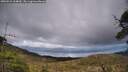 ./images/calvert/fitz-hugh-hecate/20250521/fitz-hugh-hecate20250521_164010M.jpg