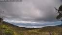 ./images/calvert/fitz-hugh-hecate/20250521/fitz-hugh-hecate20250521_164510M.jpg