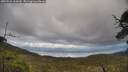 ./images/calvert/fitz-hugh-hecate/20250521/fitz-hugh-hecate20250521_165010M.jpg