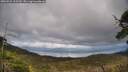 ./images/calvert/fitz-hugh-hecate/20250521/fitz-hugh-hecate20250521_165509M.jpg