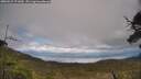 ./images/calvert/fitz-hugh-hecate/20250521/fitz-hugh-hecate20250521_171010M.jpg